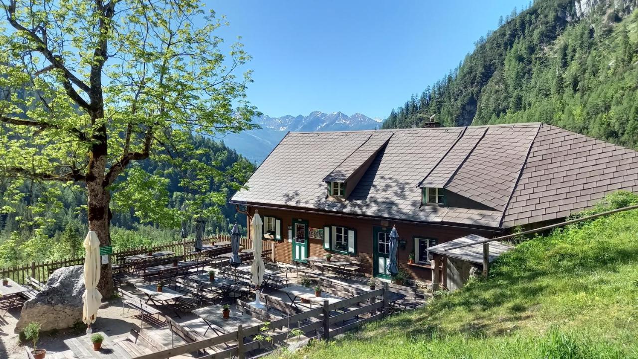 Pension Felsenheim Ramsau am Dachstein Dış mekan fotoğraf
