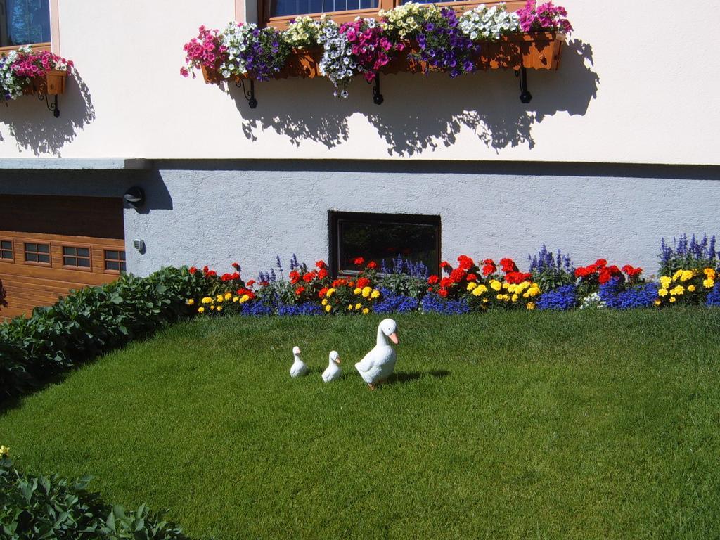Pension Felsenheim Ramsau am Dachstein Dış mekan fotoğraf