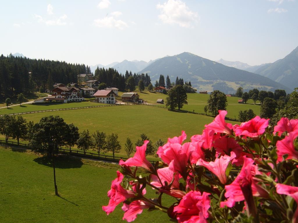 Pension Felsenheim Ramsau am Dachstein Oda fotoğraf