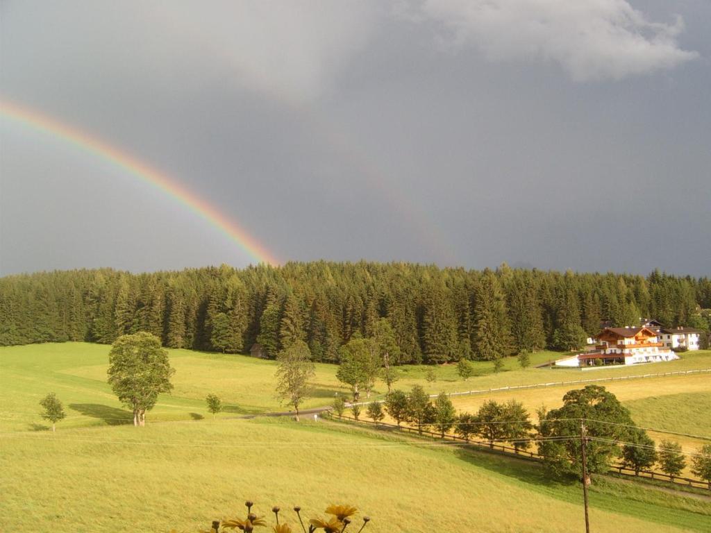 Pension Felsenheim Ramsau am Dachstein Oda fotoğraf